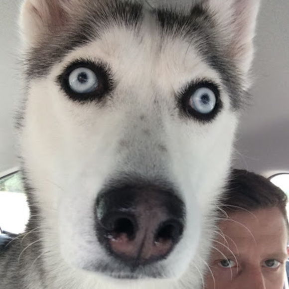 Meet your Posher, Bryan - Picture 1 of 1